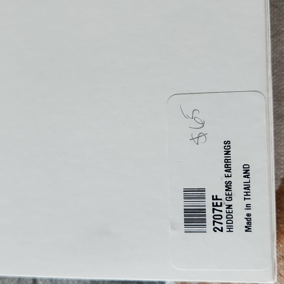 NEW Touchstone Crystal Hidden Gems Earrings - Picture 6 of 6